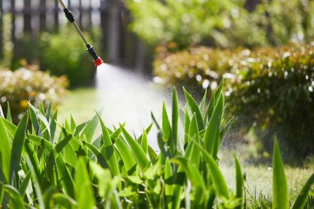 24/7 Emergency Ant Control experts in Ionia, MI