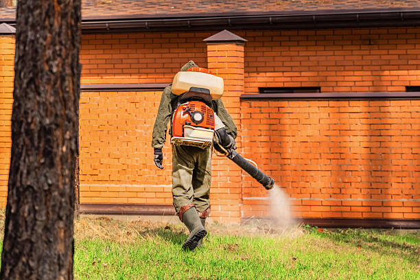 Top rated local Ant Control specialists in Ionia, MI